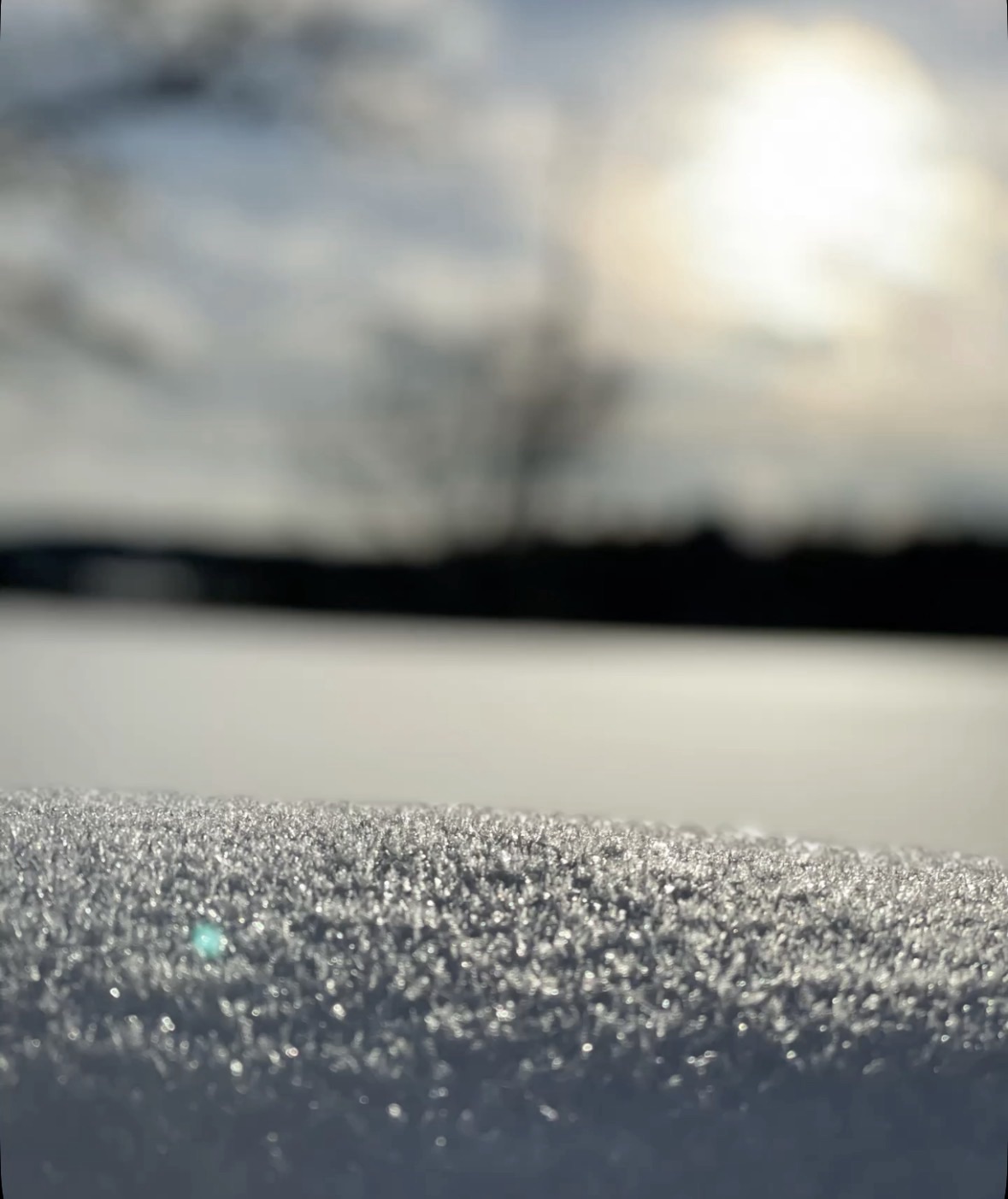 Don’t believe everything you think – Daily Hug | Day 2