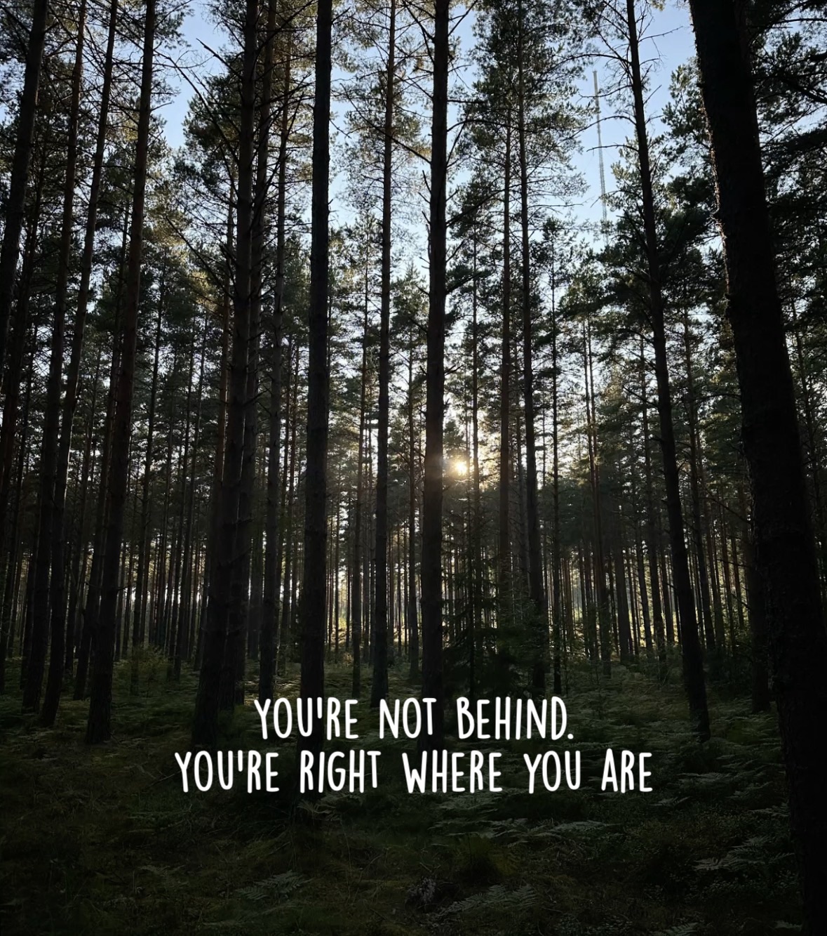 You’re not behind. You’re right where you are | Daily Hug Quote| Day 12