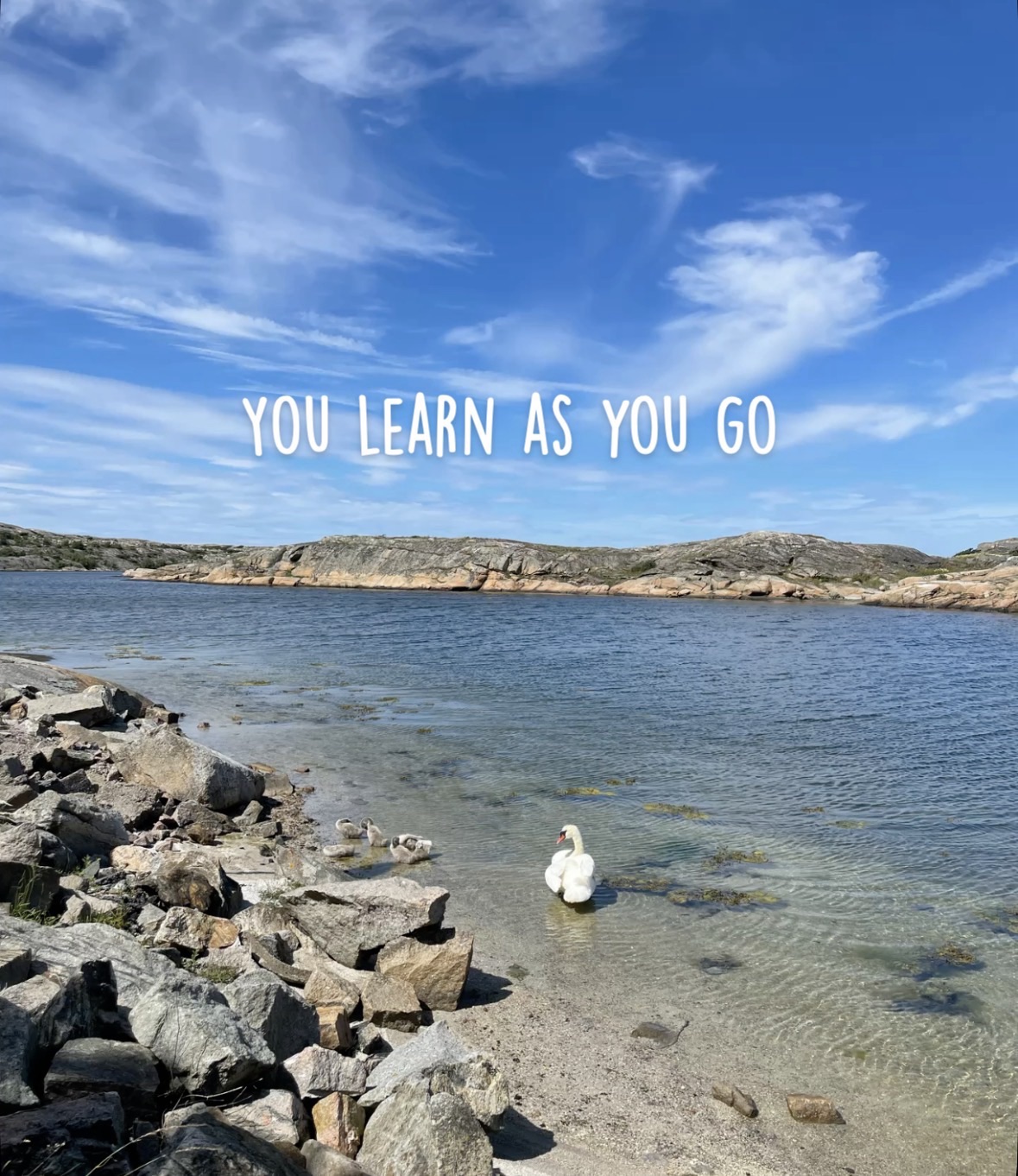 You Learn As You Go | Daily Hug Quote | Day 13