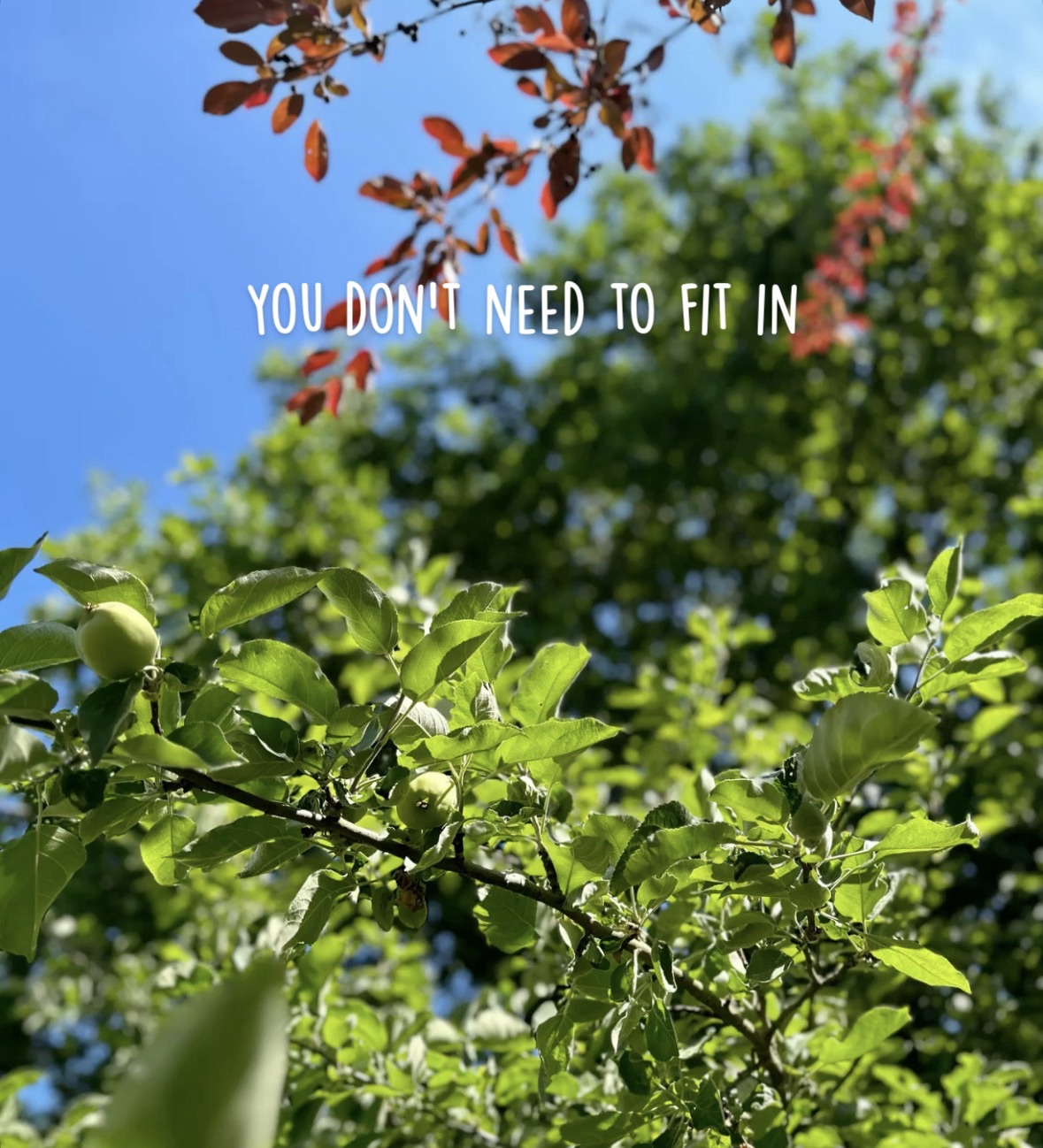 You Don’t Need to Fit In | Daily Hug Quote | Day 14