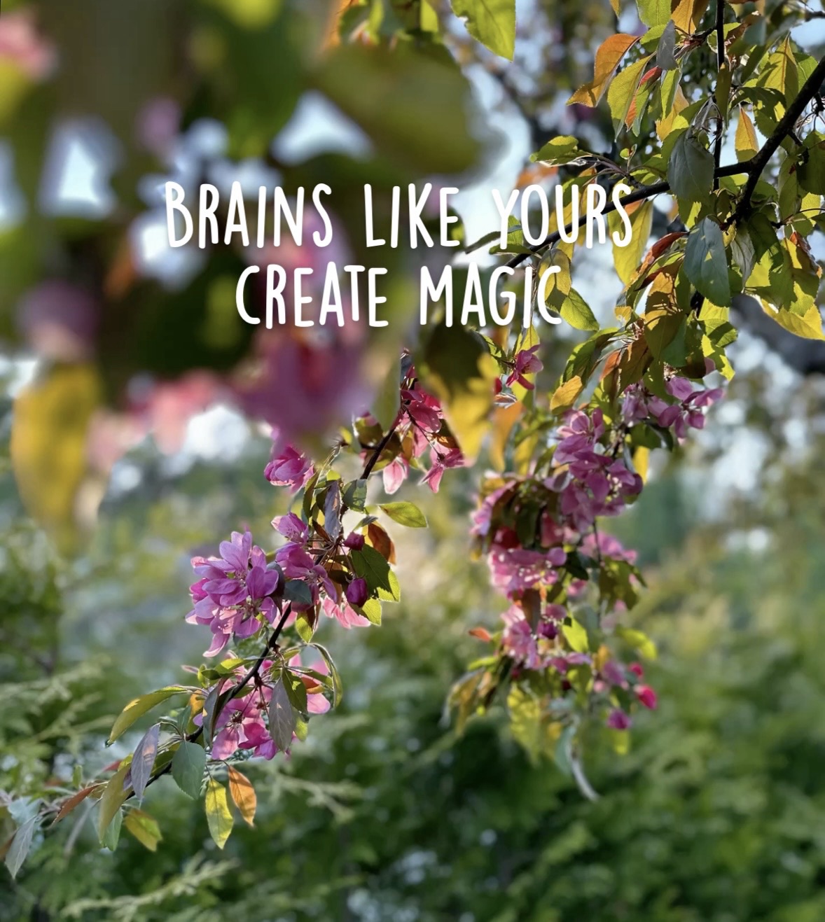 Brains like yours create magic | Daily Hug Quotes – Day 15