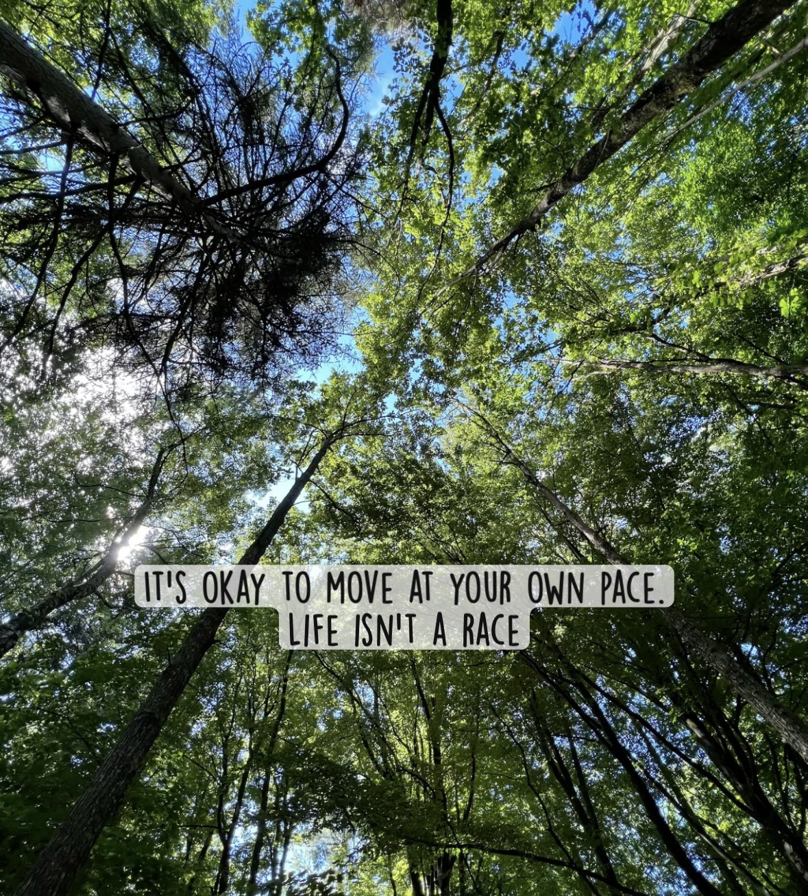 It’s Okay to Move at Your Own Pace. Life Isn’t a Race. Daily Hug Quote |Day 17