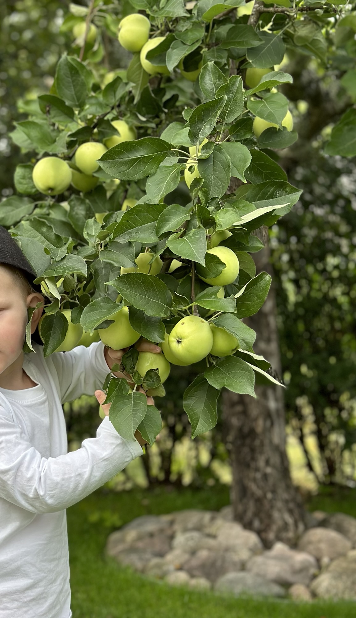 Life Skills Start at Home: How Involving Your Kids Builds Connection and Confidence | ahdh motherhood